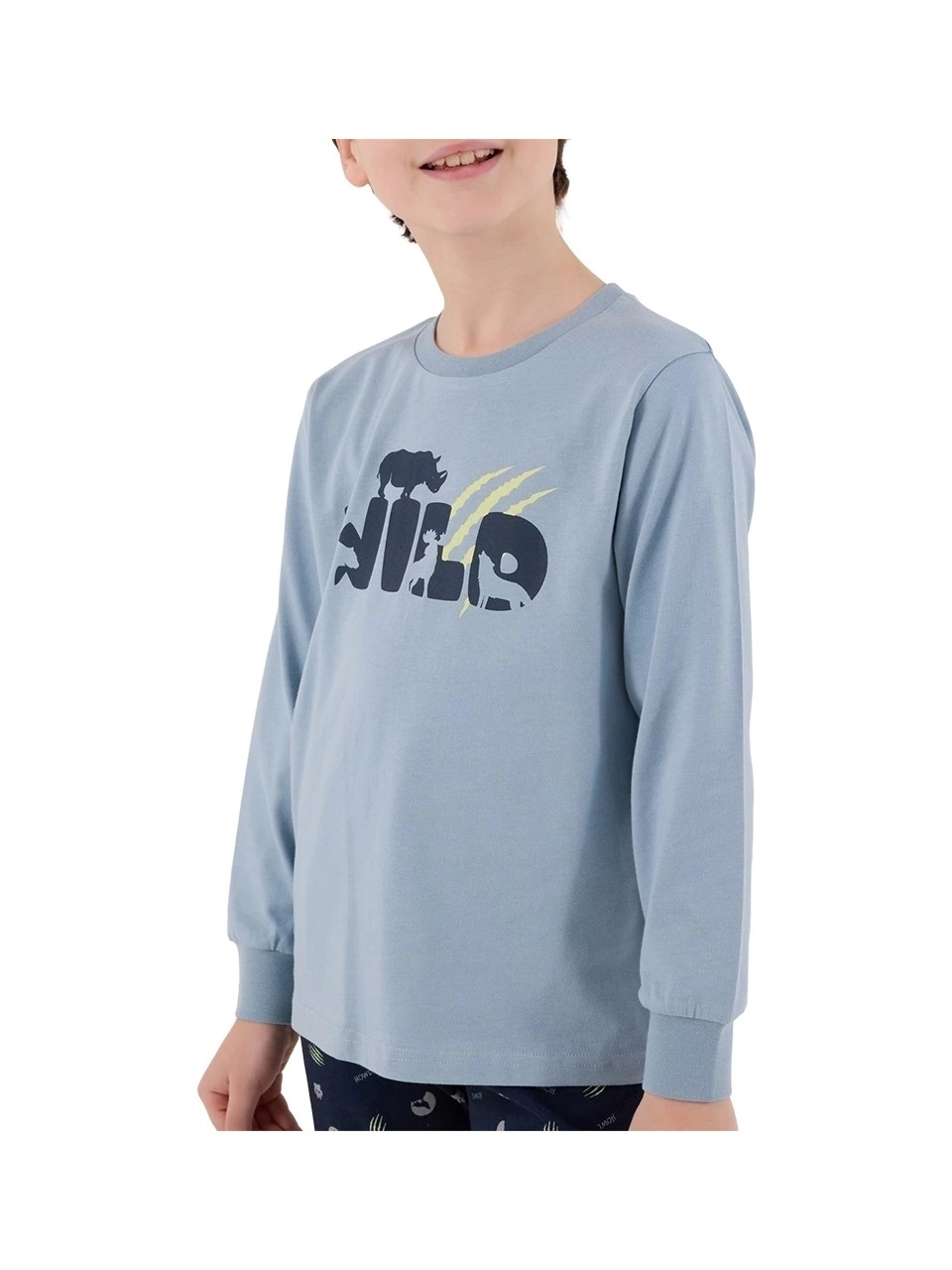 Roly Poly Erkek Çocuk Pijama Takımı RP3683- G