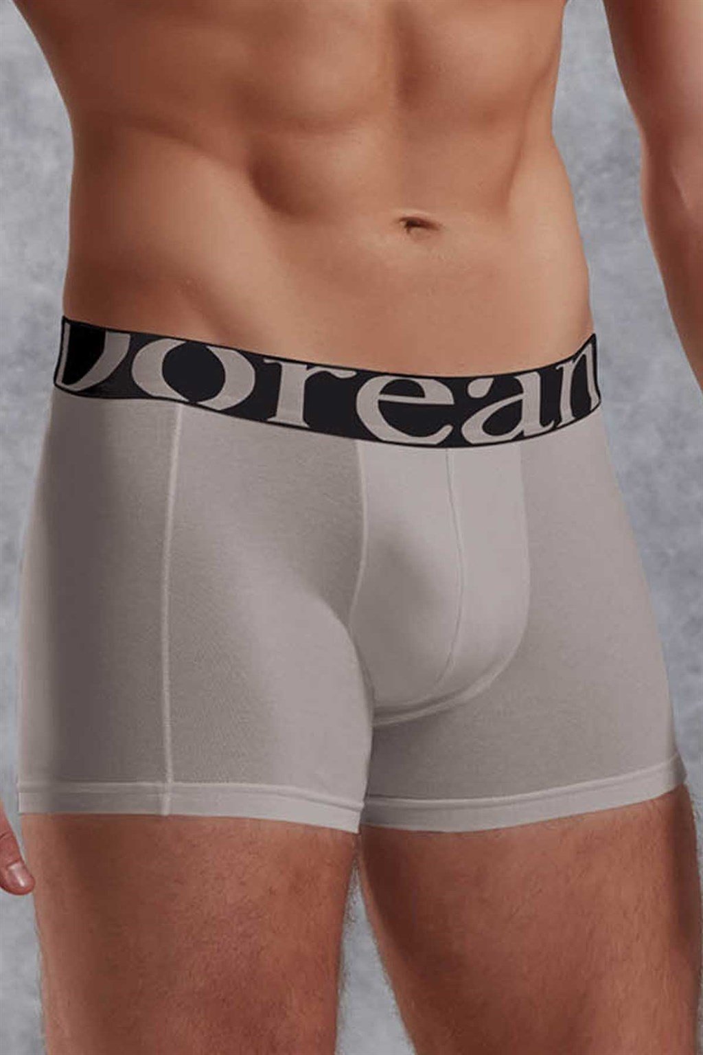 DOREANSE ERKEK BOXER-Gri̇