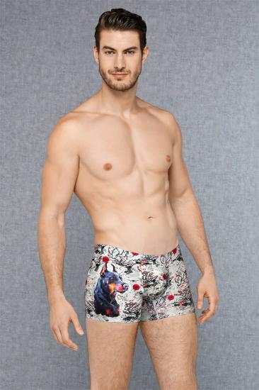 DOREANSE YEAR OF THE DOG ERKEK BOXER